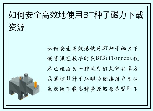 如何安全高效地使用BT种子磁力下载资源